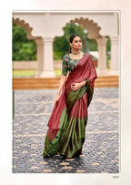 Tarna Catlog Saree