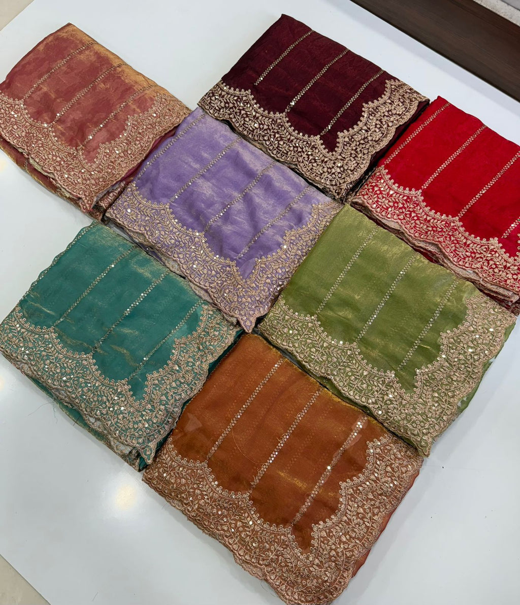 Space Sattin Muti Sequence Emrodairy Work Saree